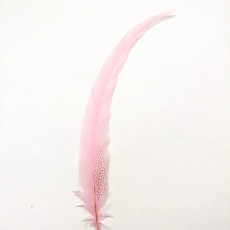 2026_05_18_60801