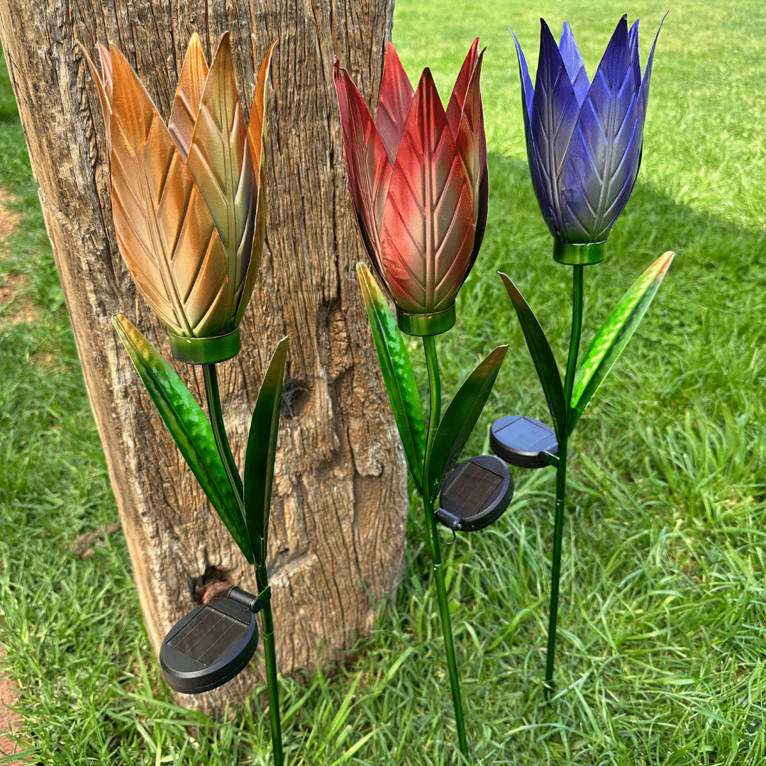 sproutwelldecor2026051816511235902