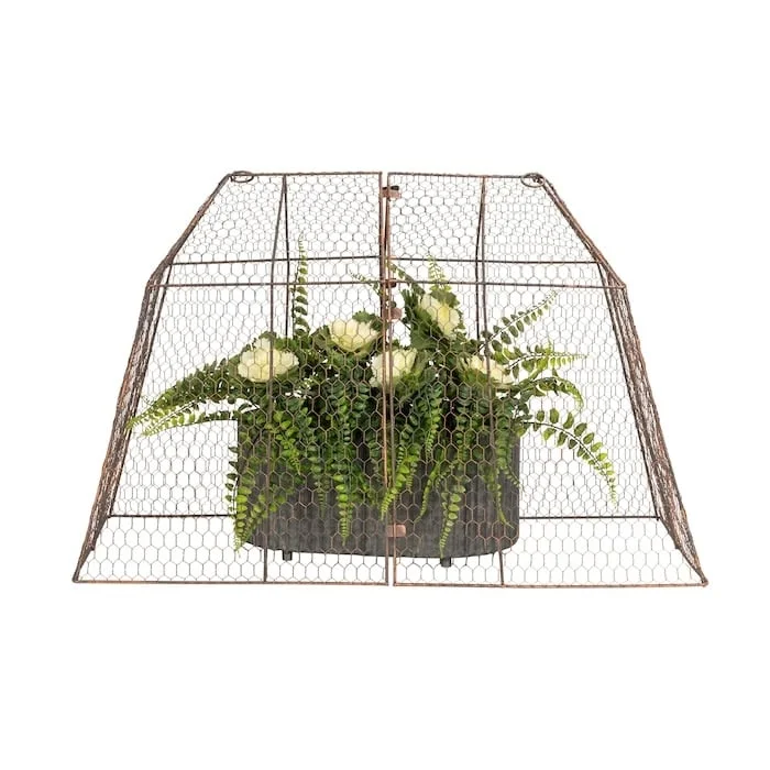 sproutwelldecor2026051817085037733