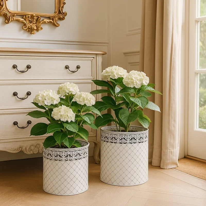 sproutwelldecor2026051817174638705