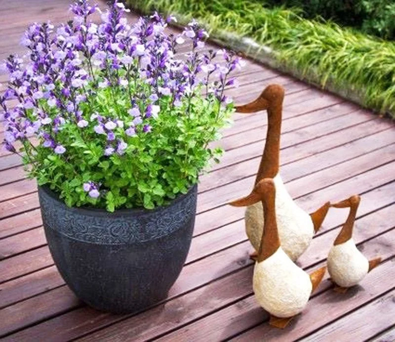 sproutwelldecor2026051818173445933