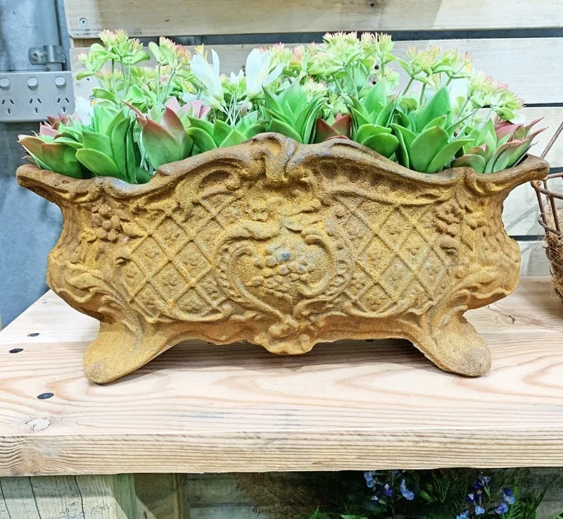 sproutwelldecor2026051819034851420